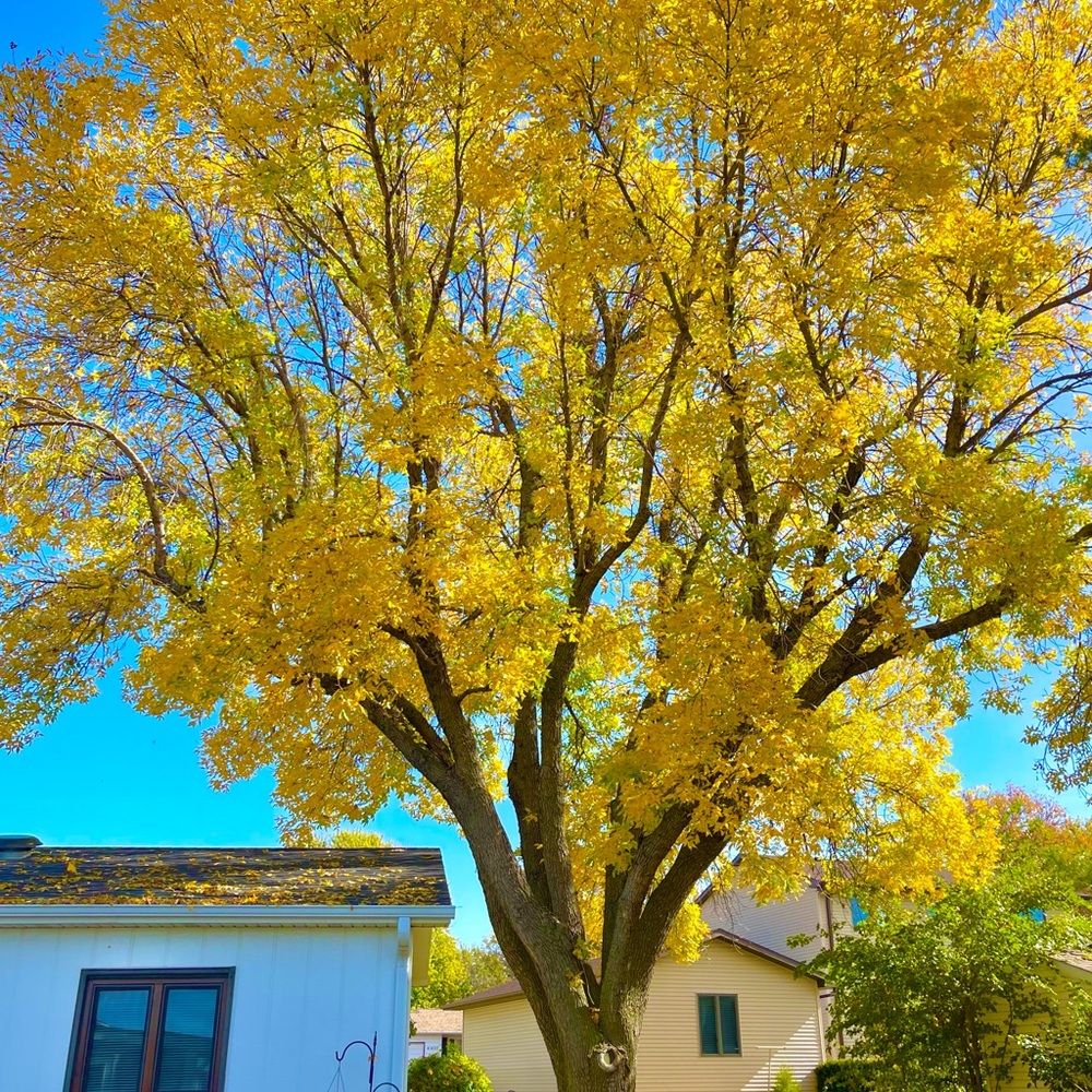 Meet your Posher, Brenda.